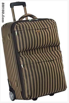 luggage