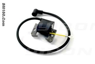 Generator coil