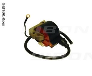 Generator coil  503620203