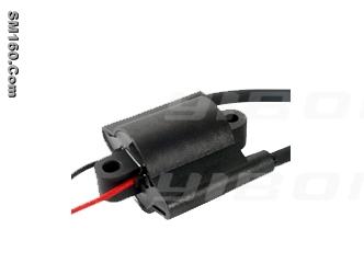 Generator coil