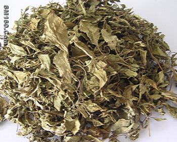 AD Basil