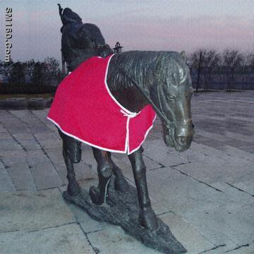 Horse Blanket/RUGS