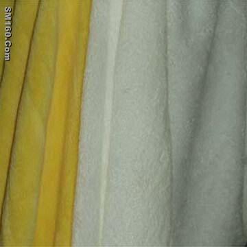 Coral Fleece Fabric