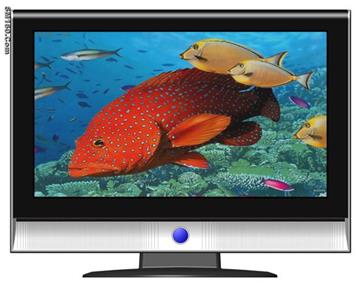 LCD-TV