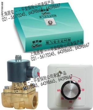 Gas Safety Timer Valve (latest version)