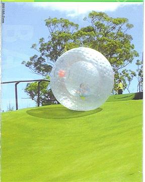 grass ball