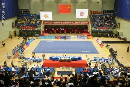 Wushu Field/ wushu floor