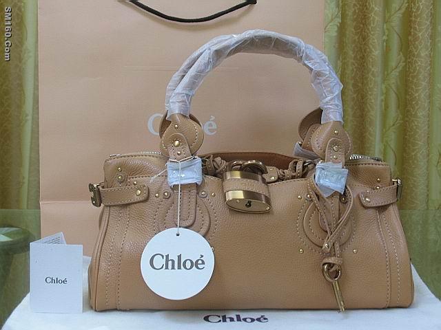 louisvuitton bag gucci bag chanel bag chloe bag coach bag juciy bag 