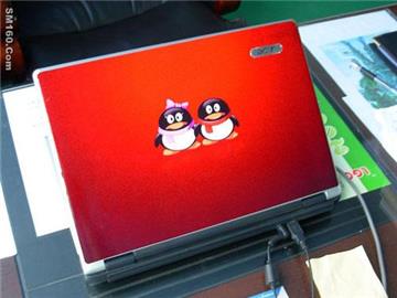 laptop/cell phone skin