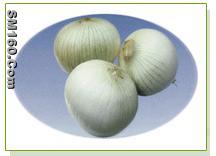 Fresh onion