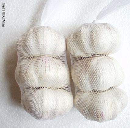 Fresh garlic