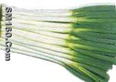 fresh shallot
