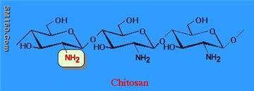 Chitosan