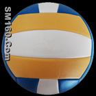 Stitched PVC Volleyballl