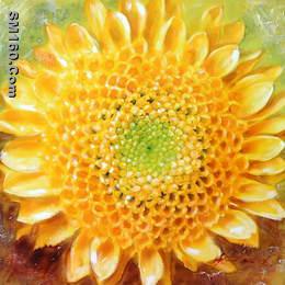 sell oi paintings from china