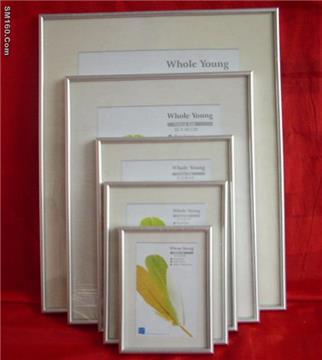 plastic frame