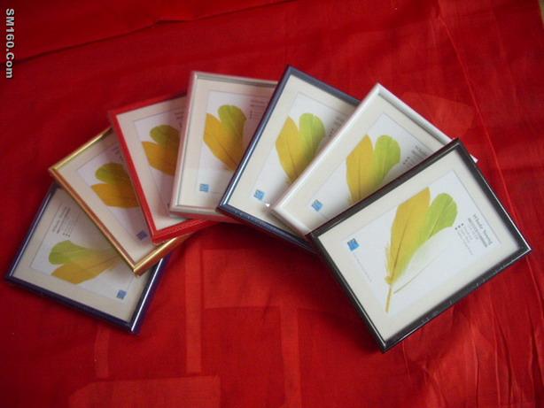 plastic frame