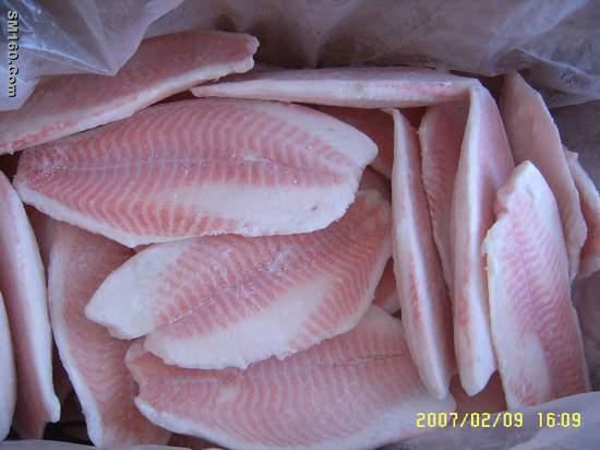 Tilapia fillets