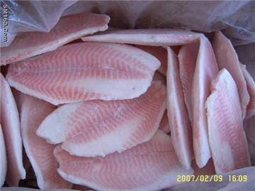 Tilapia fillets