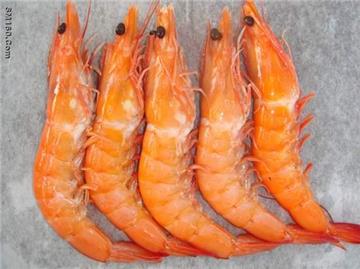 vannamei prawn