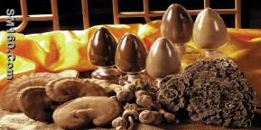 [xianzhilou]  Reishi (Lingzhi, Ganoderma)Extract 