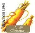 ginseng extract(sales6 at lgberry dot com dot cn)