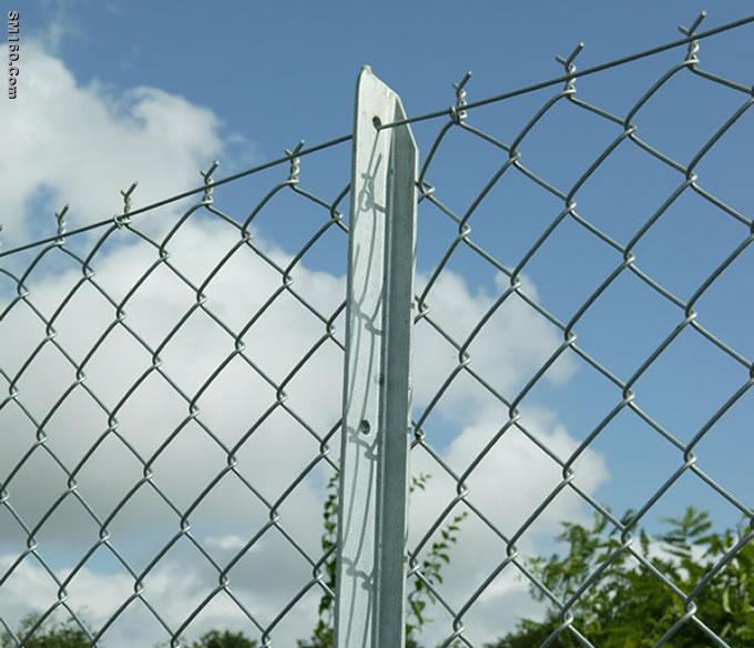 Chain Link Fence
