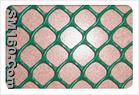Plastic Plain Netting