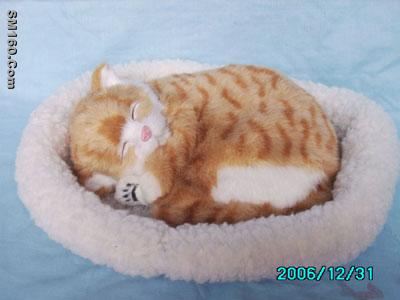 sleeping pets, sleeping dog, sleeping cat
