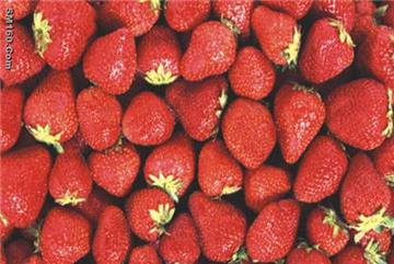 Frozen strawberry