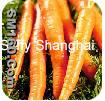 Carrot