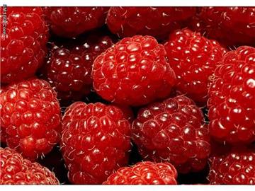 IQF wild raspberry