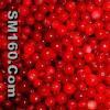 lingonberry powder(sales6 at lgberry dot com dot cn)