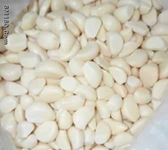 Garlic clove