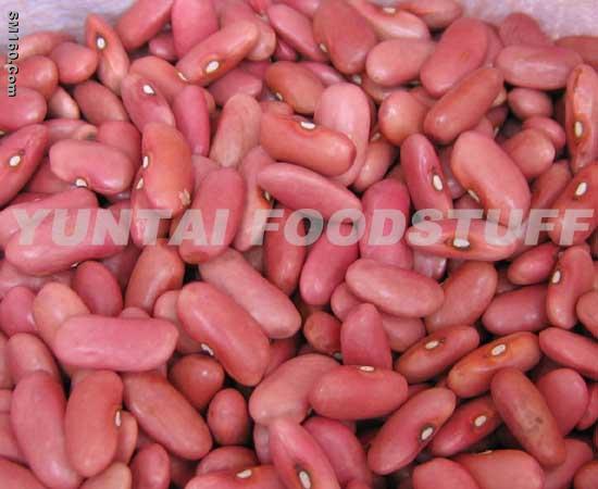 LIGHT RED KIDNEY BEAN