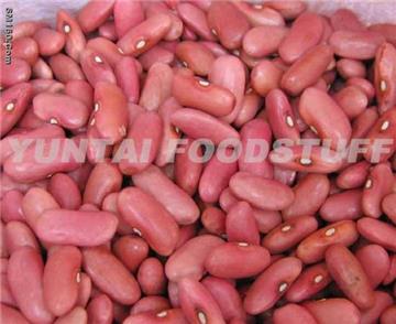 LIGHT RED KIDNEY BEAN