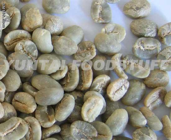 COFFEE BEAN