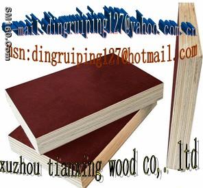 offer film face plywood(drp127@yahoo.com.cn) from china