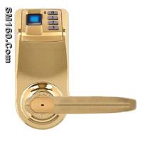 Fingerprint Lock