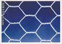 Hexagonal wire mesh