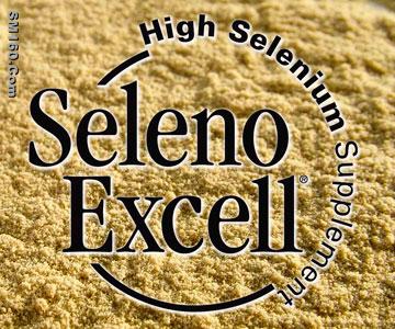SelenoExcell&reg; High Selenium Yeast - Raw Organic Material - Kosher