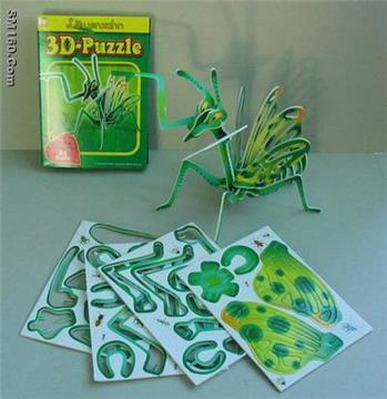 Praying mantis