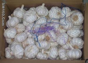sell garlic