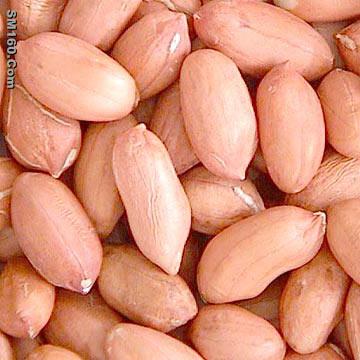 sell peanut kernels