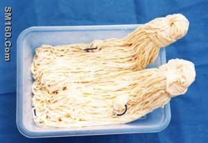 nature sheep casing