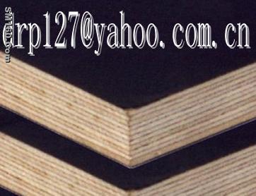 offer film face plywood(drp127@yahoo.com.cn) china