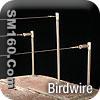 bird wire