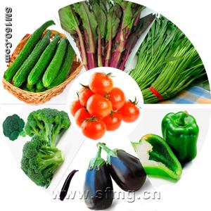 vegetable