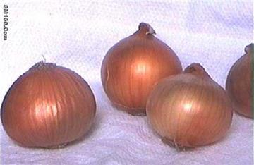 onion