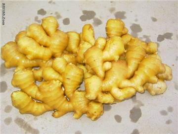 ginger 